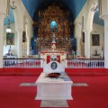 Tomb_of_Kuriakose_Elias_Chavara_at_St._Josephs_Church_Mannanam_india.th.jpg